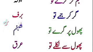 Mansha