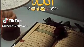 Best of islam
