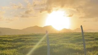 O nascer do sol