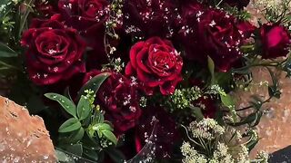I love roses
