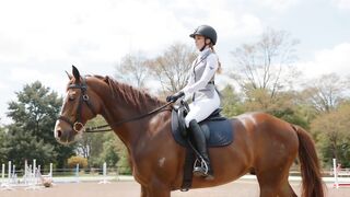 Horse 25