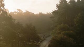 A lone figure walks down a dirt road surrounded by forest at sunrise.