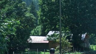 A cyclist enjoying a tranquil ride through a lush mountain path.