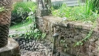 Beautiful from Bali 6