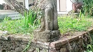 Beautiful from Bali 7
