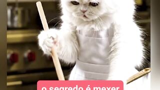 VEJÁ GATO COZINHANDO