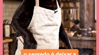 VEJÁ GATO FAZENDO CARNE