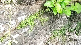 Beautiful from Bali 10