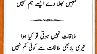 Amin Reza