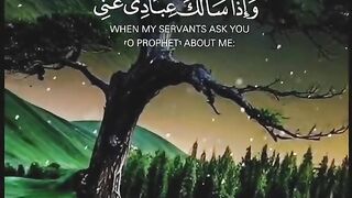 Beautiful Quran Recitation 21