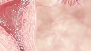 How is a baby formed from a single drop? 😲 #ScienceShorts #HowLifeBegins #3DMedicalAnimation