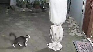 funny pocong