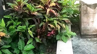 Beautiful from Bali 29