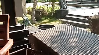 Beautiful from Bali 36