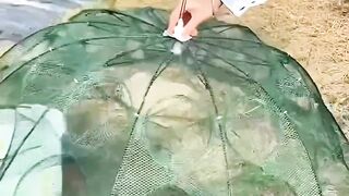 🤯 This Fishing Trap Is BRILLIANT! 🎣🐟 A Clever Chinese Fishing Trick!