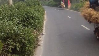 মেন রোড 2