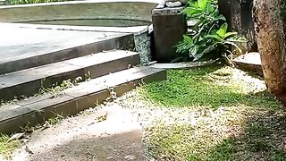 Beautiful from Bali 38