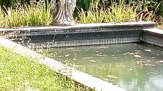 Beautiful from Bali 58