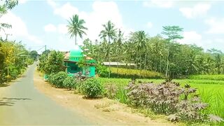 Serenity in a Remote Village