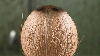Coconut vs hidraulic press