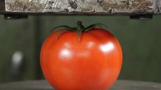 Tomato vs hidraulic press