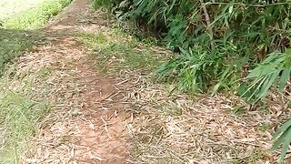 Wild nature 2