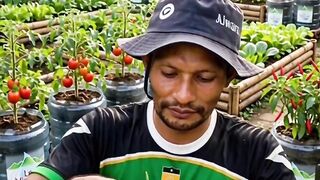 From Trash to Harvest! Grow Shallots in Used Mineral Water Gallon - 60 Days to Abundant Yield