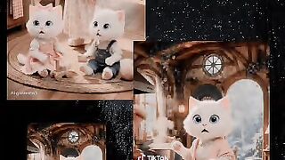Cat video 43