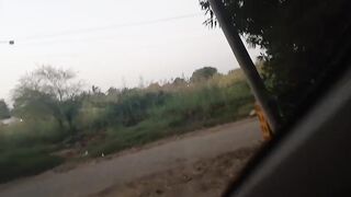 Running Dogs 2
