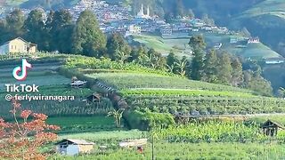 Alam perbukitan