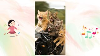 Gatos na moto Uns felinos passeando por aí!