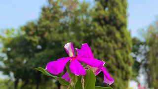 Natural photography 2