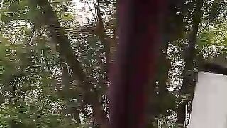 পাখি ব্রিজ