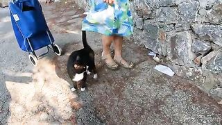 When a stray cat decides to adopt BOTH of us