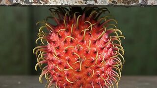 Rambutan vs Hydraulic press