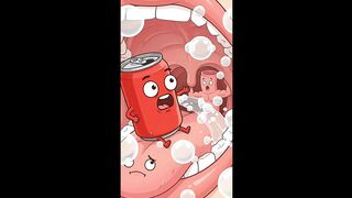 “What Happens to Your Food After You Swallow It?”