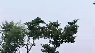 সৌন্দর্যের মাঝে 2