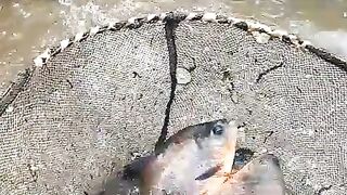Hasil tangkapan memancing besar besar