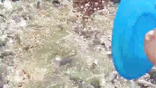 Post-Harvest Feed Consumption Test