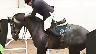 Other dangerous horse 🐎🐴