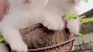 She finds her mom