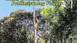 Life in the province of Romeo Santiago
