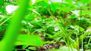 Beautiful nature 377