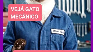 VEJÁ GATO MECÂNICO