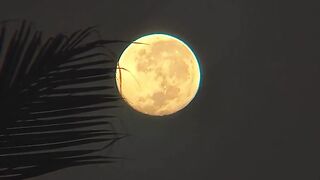 bulan