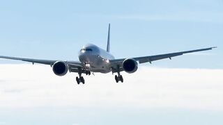 Boeing 777F Incredible Close-Up Landing at Paine Field (PAE) ✈️