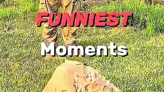 Soldiers' silly antics behind the scenes