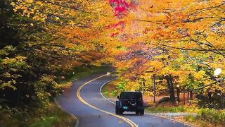 Nature of beauty 4