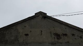 Negative video