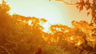 Por do sol no Rio